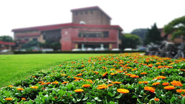 上海財經大學的花