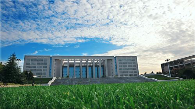 西北大學草